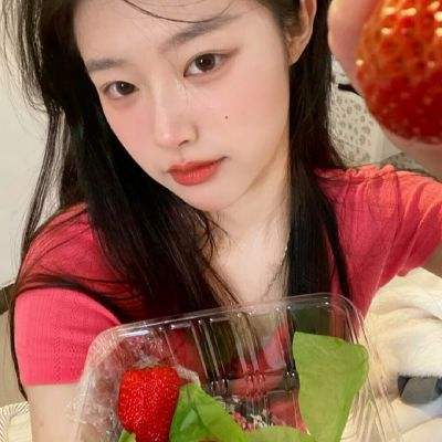 天盛长歌传单机版下载